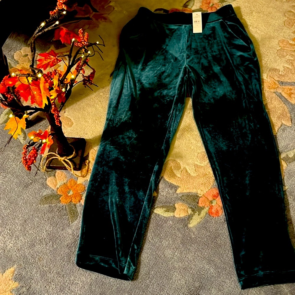 Beautiful velvet emerald green size small Loft pants